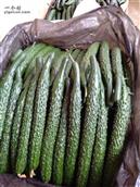 甘肃省,白银市,靖远县,北湾镇,中堡村