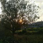 江西省,吉安市,万安县,潞田镇,东村