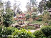 山东省,烟台市,海阳市,朱吴镇,杨格庄村