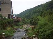 双坑村 2008年的双坑小溪