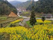 贵州省,黔东南州,黎平县,永从乡,豆洞村