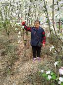 李桥村 李桥村周玉梅