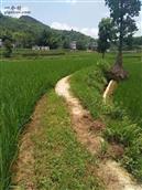 贵州省,遵义市,务川县,丰乐镇,新田村