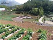 重庆市,巫溪县,尖山镇,川山村