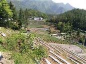 重庆市,巫溪县,尖山镇,川山村