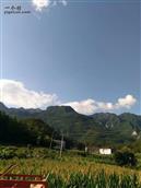 重庆市,巫溪县,尖山镇,川山村