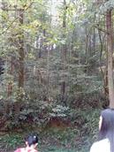 安徽省,池州市,贵池区,牌楼镇,大山村