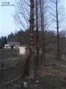 安徽省,池州市,贵池区,牌楼镇,大山村