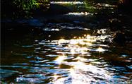 平桥村 图为夕阳的余光洒在波光闪闪的河面上,把河面染得金碧辉煌,倒映在清澈的河水里,银光闪烁,微波荡漾,绰约多姿。杨杰摄