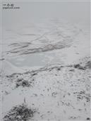 梨园村 小凉山的雪景。