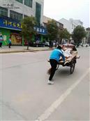 湖北省,荆州市,江陵县,滩桥镇,曹市村