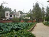 河南省,许昌市,襄城县,茨沟乡,茨沟东村