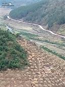 广西,百色市,西林县,那佐乡,达下村