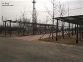 山东省,青岛市,黄岛区,大村镇,黄岭村