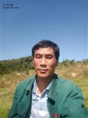 山东省,潍坊市,诸城市,林家村镇,郑家沟村