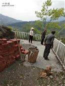 重庆市,南川区,金山镇,金狮村