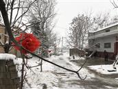 张留村 正月初六的雪