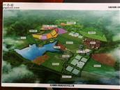 山东省,青岛市,黄岛区,大村镇,黄岭村