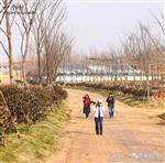 山东省,青岛市,黄岛区,大村镇,黄岭村