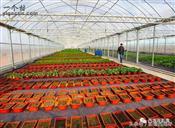 山东省,青岛市,黄岛区,大村镇,黄岭村