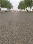 山东省,枣庄市,滕州市,龙阳镇,魏寺村