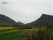 安徽省,池州市,贵池区,殷汇镇,灌口村