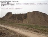 山西省,运城市,稷山县,太阳乡,东王村