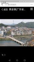 松青村 美丽的黄金镇，真的好美啊！！！