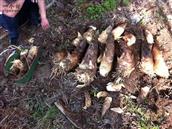 浙江省,金华市,永康市,石柱镇,俞溪头村