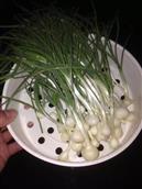 浙江省,金华市,永康市,石柱镇,俞溪头村