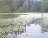 河北省,邯郸市,馆陶县,路桥乡,北曹庄村