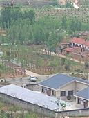 山东省,青岛市,黄岛区,大村镇,黄岭村