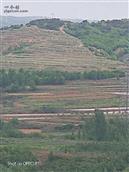 山东省,青岛市,黄岛区,大村镇,黄岭村