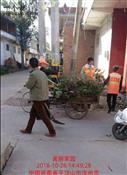 西王楼村 两委会干部和清洁工一起，进行村内环境整治工作