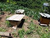 四川省,宜宾市,屏山县,夏溪乡,南坪村