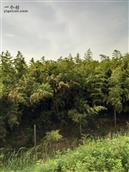 河南省,许昌市,襄城县,山头店乡,祝冯村