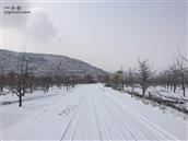 甘肃省,天水市,甘谷县,谢家湾乡,自坪村