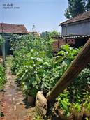 湖北省,荆州市,江陵县,滩桥镇,曹市村