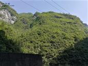 重庆市,巫溪县,中岗乡,茶山村