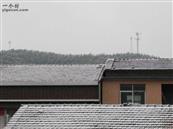 湖北省,黄冈市,武穴市,石佛寺镇,冯秀村