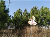 湖北省,黄冈市,武穴市,石佛寺镇,冯秀村