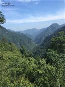 贵州省,遵义市,习水县,三岔河乡,天水池村