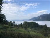 贵州省,遵义市,习水县,三岔河乡,天水池村