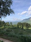 贵州省,遵义市,习水县,三岔河乡,天水池村