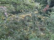 贵州省,遵义市,习水县,三岔河乡,天水池村