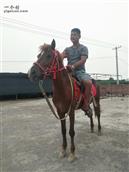 山西省,临汾市,洪洞县,淹底乡,淹底村