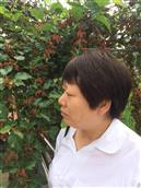 湖北省,襄阳市,襄州区,黄集镇,薛集村