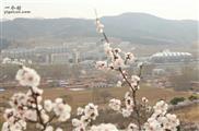 内蒙古,赤峰市,敖汉旗,林家地乡,热水汤村