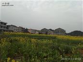 湖南省,株洲市,茶陵县,马江镇,浪滩村