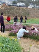 广东省,梅州市,五华县,龙村镇,新艳村